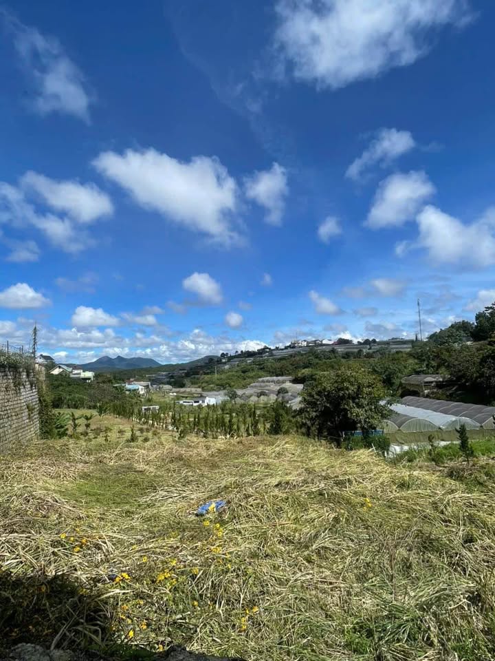 Đất vàng Đà Lạt ba mặt tiền thoáng đãng, view đẹp