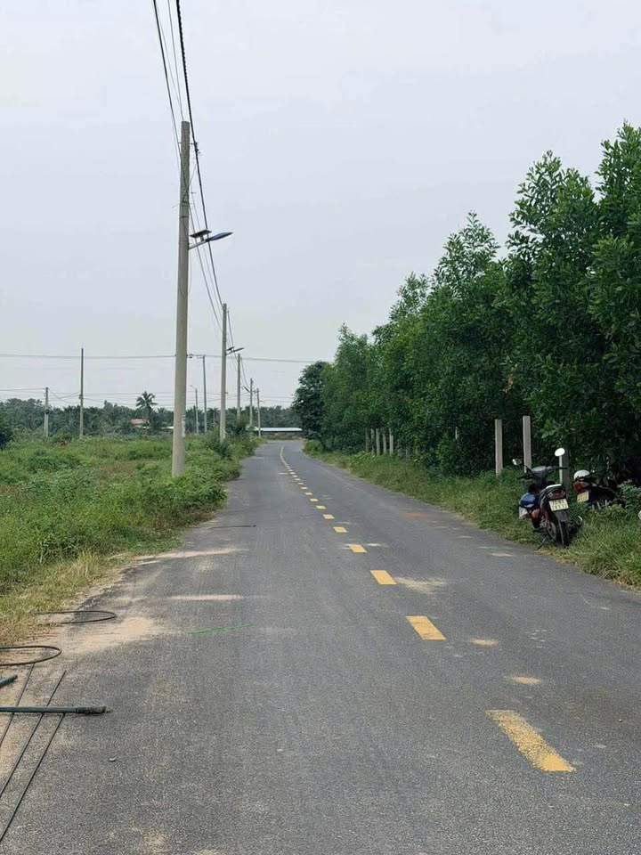 Hot hòn họt cấp 4 Phước Hải full thổ cư, sổ trao tay