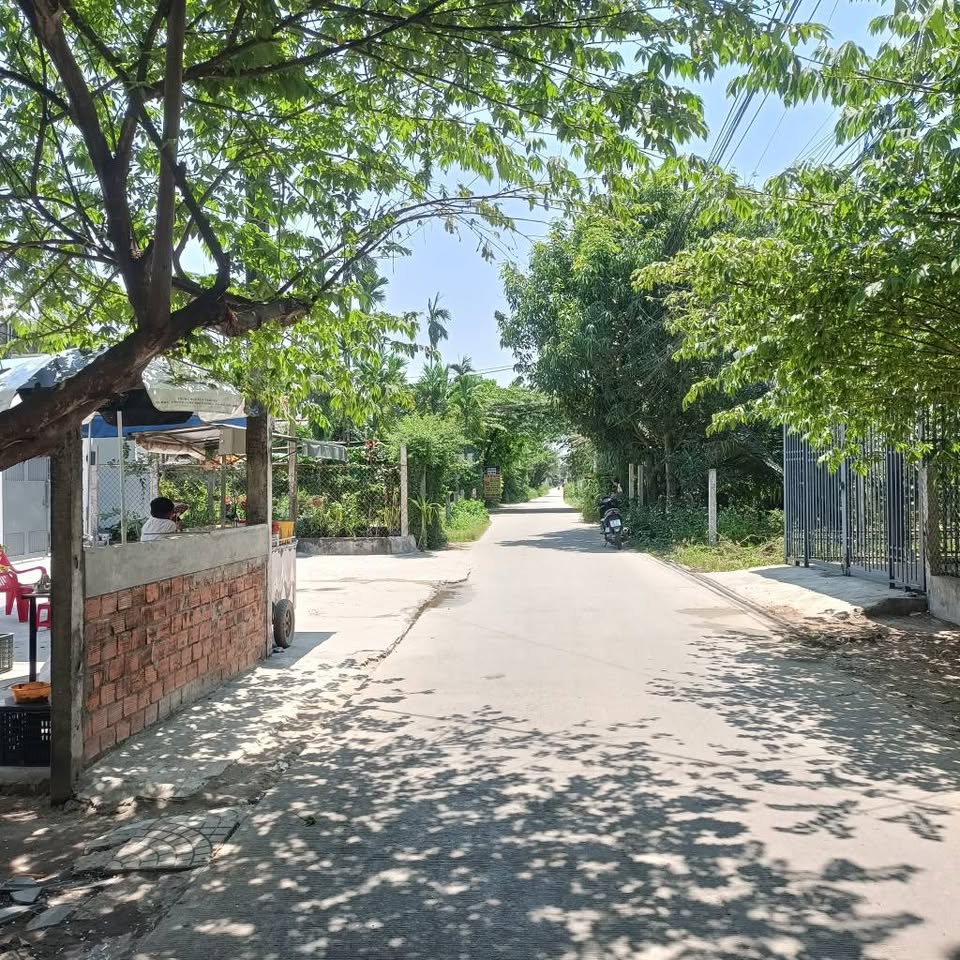 Đất Trần Khánh Dư 88m2, 1 tỷ - Cơ hội vàng cho nhà đầu tư