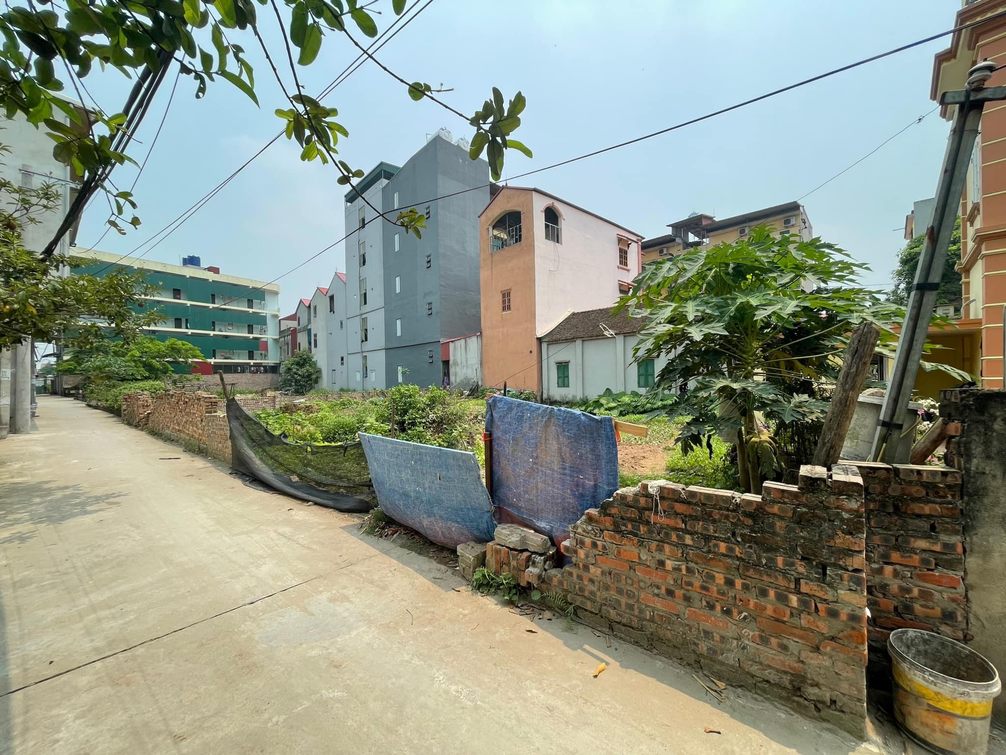 Bắc Ninh đất vàng Tri Phương, Tiên Du mặt tiền 6m, ô tô vào tận nơi, giá nhỉnh 1 tỷ