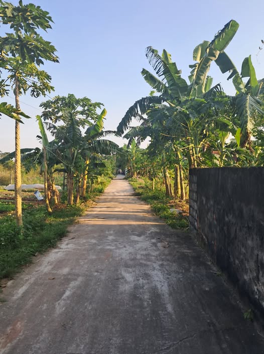 Bán lô góc đấu giá 2 mặt tiền xã Bình An, Bình Lục, Hà Nam diện tích 120m2