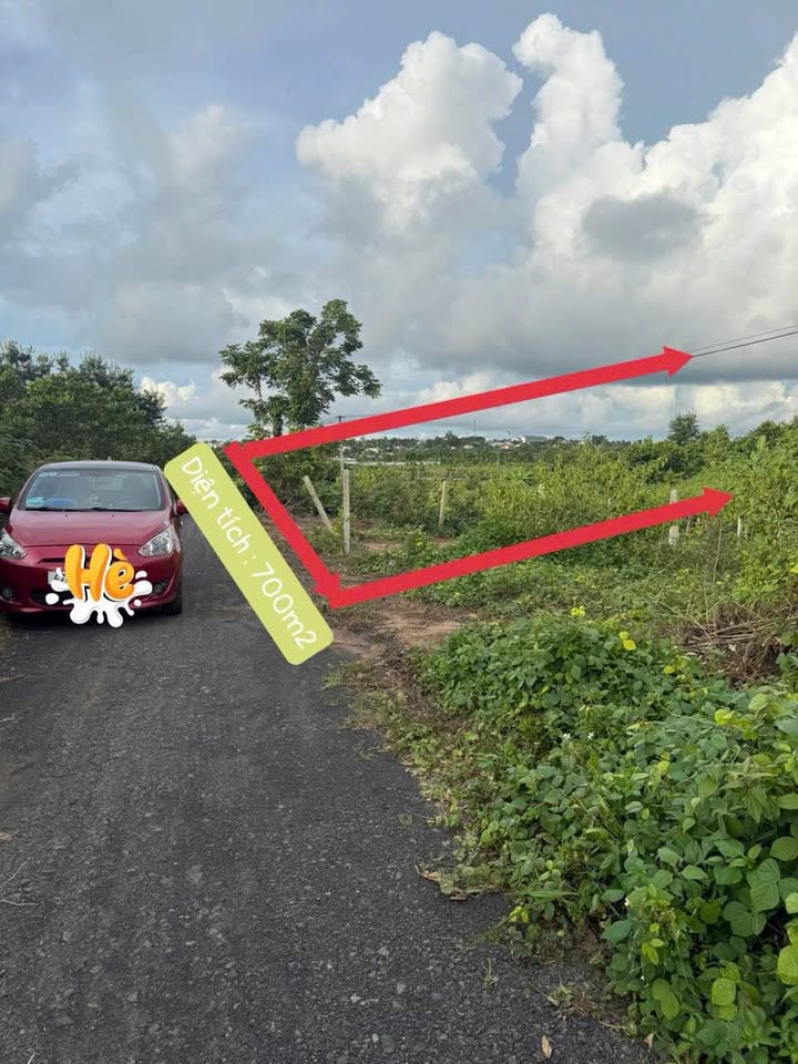 Đất Cưêbur 700m2 sổ sẵn, giá hời 400 triệu, làm vườn hay đầu tư đều ngon