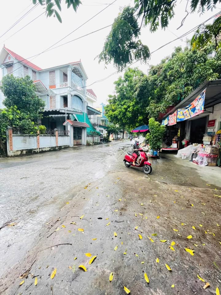 Đất nền Trần Lãm, ngõ thông, gần dự án, giá hấp dẫn