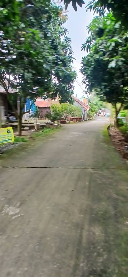 Bán nền đẹp 138m2 tại phường Hòa An, thành phố Cao Lãnh, Đồng Tháp, hướng Đông Bắc