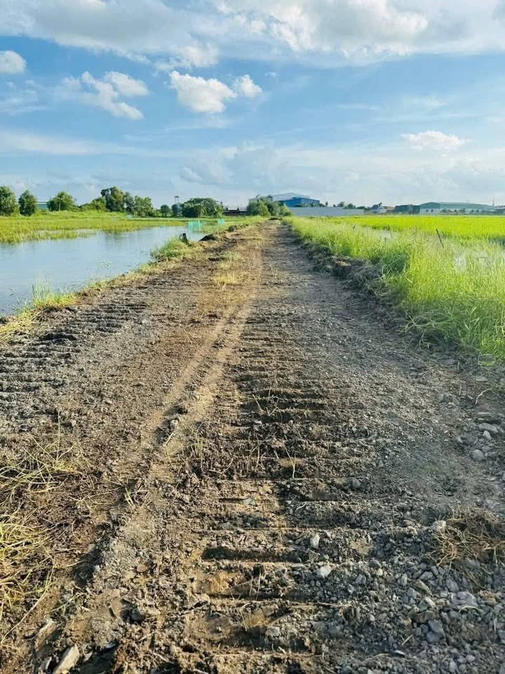 Giảm sốc chỉ 590 triệu 3 nền đất vàng cạnh Tỉnh Lộ 9, Đức Hòa - xe tải thông