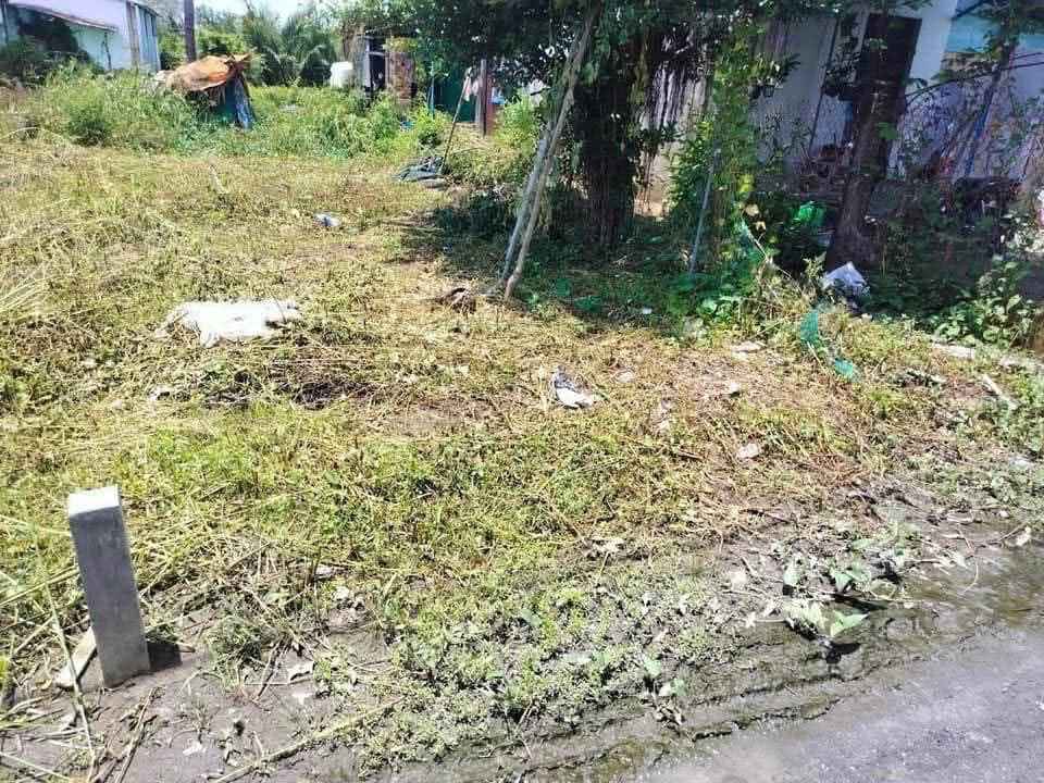 Đất thổ cư Tân Chánh, Cần Đước - Vị trí đẹp, dân cư đông, giá chỉ 490 triệu