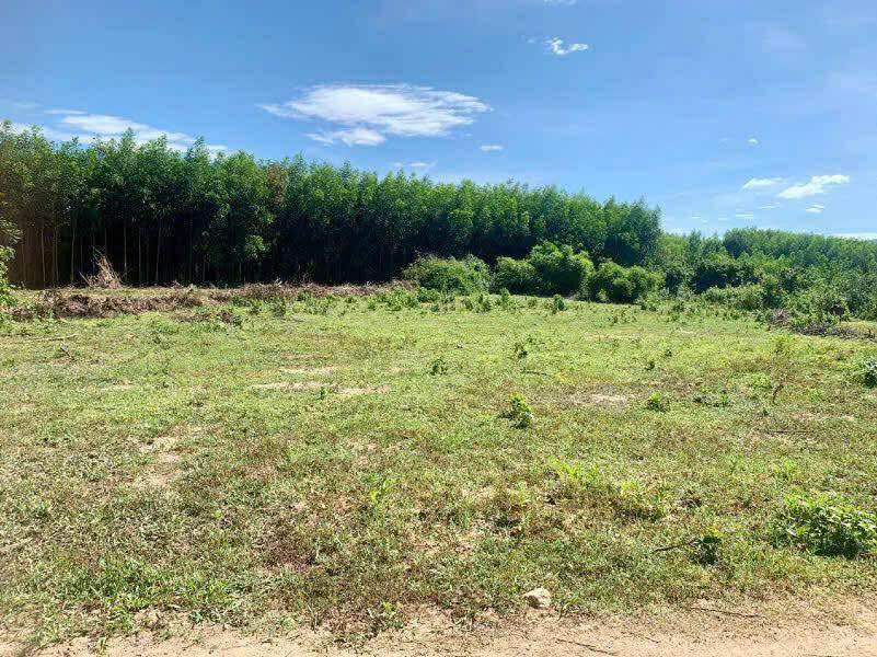 Đất vườn Nha Trang giá siêu yêu, chỉ 98 triệu, ô tô tới tận nơi