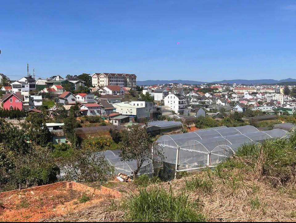 Đất Đà Lạt xịn xò, view triệu đô, xây villa bao chill