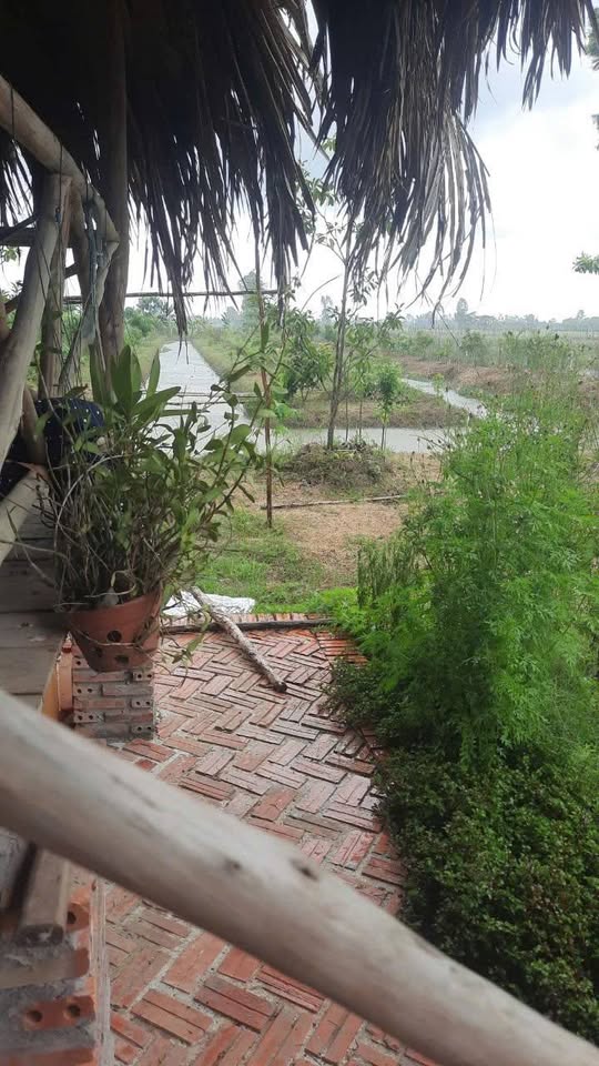 Bán 2136m² đất vườn Vĩnh Khánh, Thoại Sơn - Sẵn vườn, điện nước đầy đủ