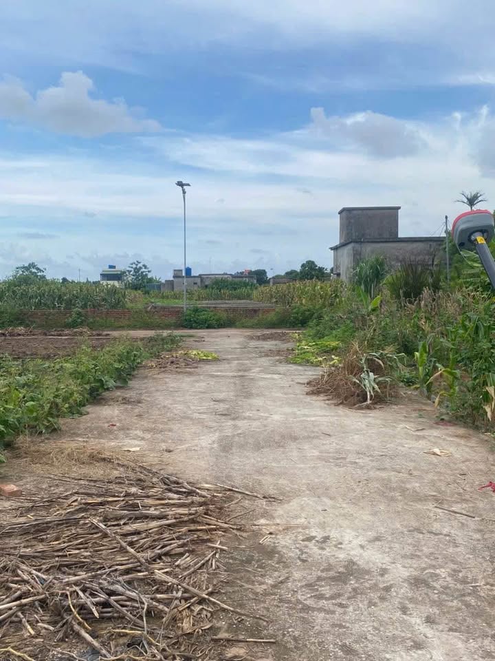 Cơ hội sở hữu hai lô đất tuyệt đẹp tại Đông Trà, Tiền Hải với mức giá hấp dẫn