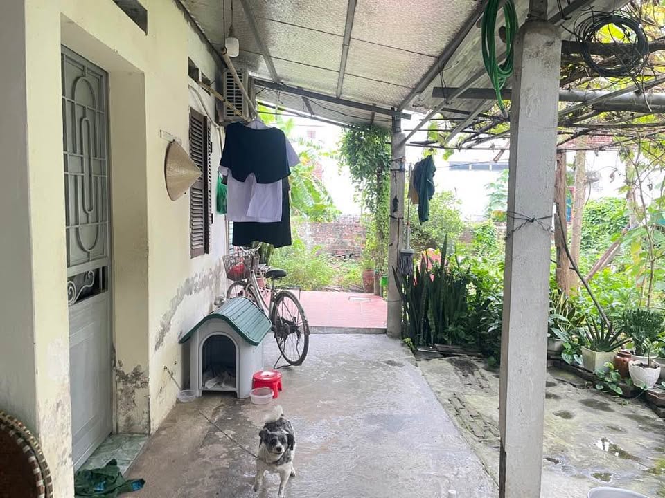 Chào mừng quý vị đến với viên ngọc Vạn Phúc, Thanh Trì