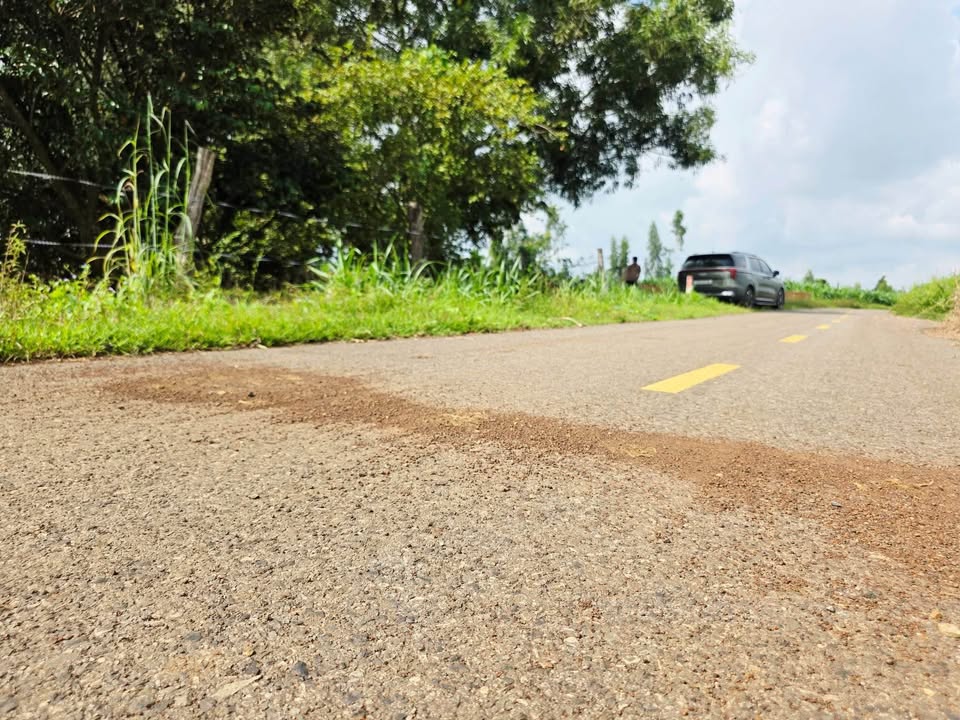 Đất vườn Long Tân 5 sào 8 bám nhựa, giá hời