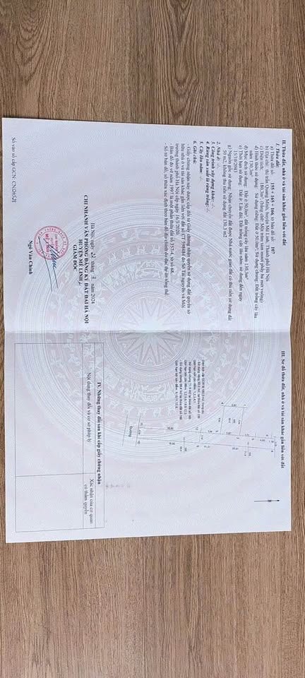 Đất vuông đẹp như tranh, ô tô tránh, giá "hời" chỉ 2x tỷ