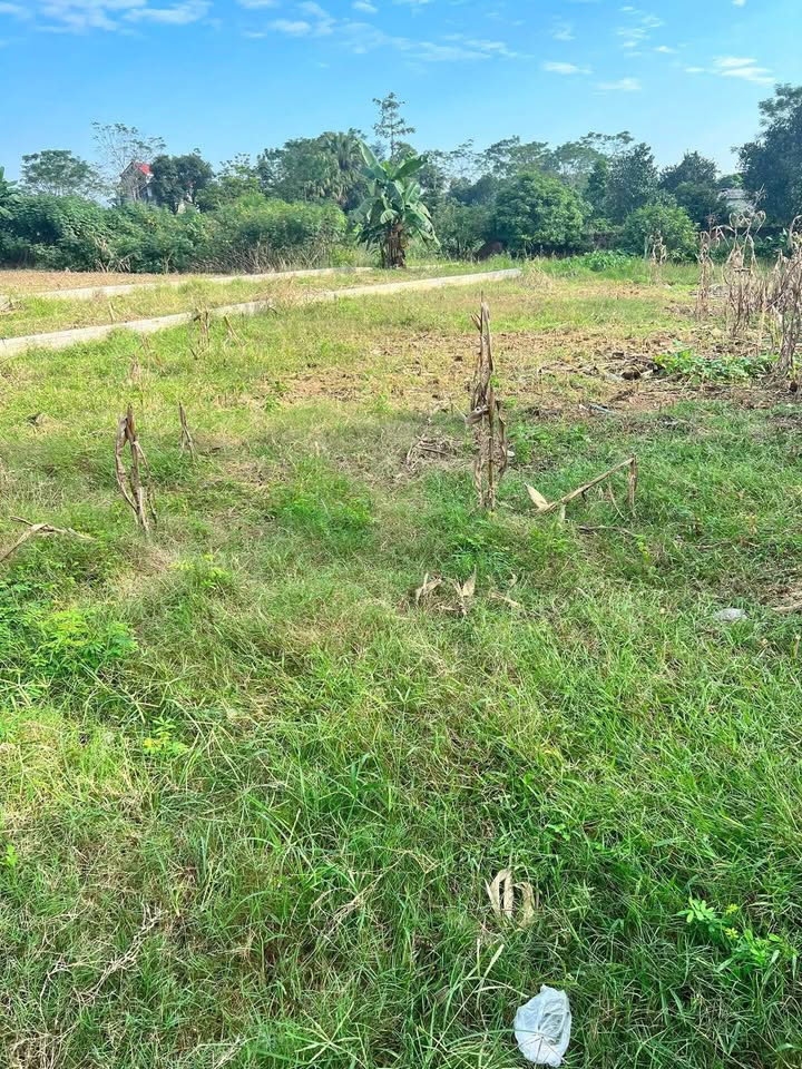 Đất vàng Cổ Lũng 400m², mặt tiền 7.5m, giá hời chỉ 6xx triệu