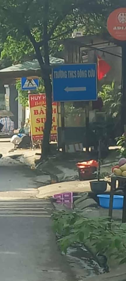 Mảnh đất vàng vượng khí lộc tài sinh sôi, an cư lạc nghiệp