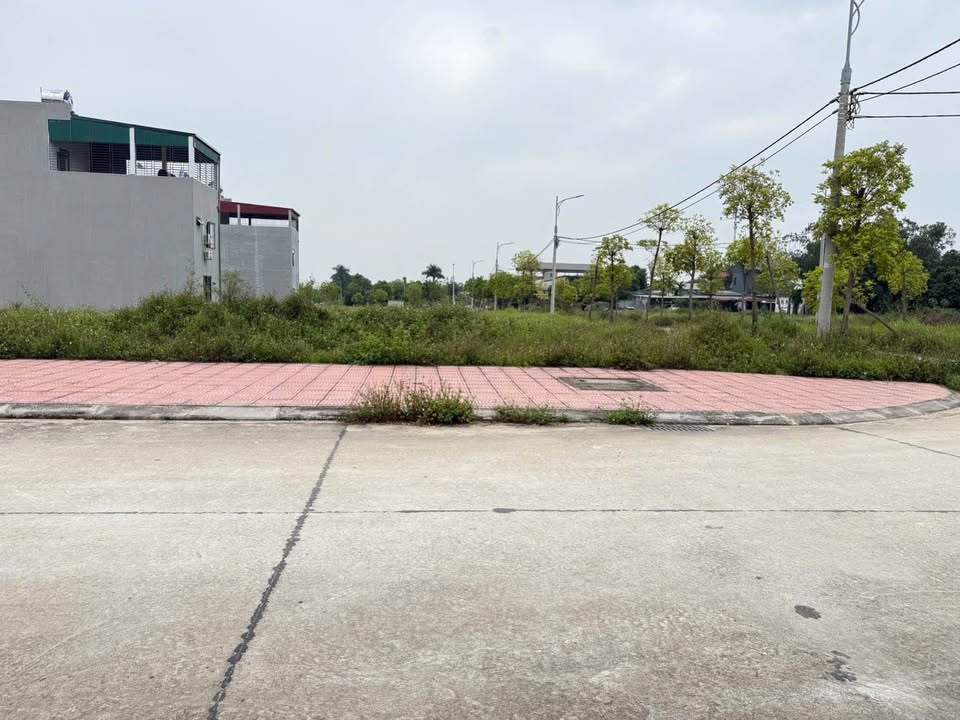 Đất vàng chợ Hợp Châu kinh doanh bạt ngàn, giá hời như mơ