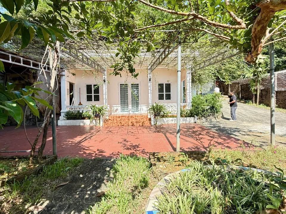 Đất Ba Vì view đẹp, đường rộng thênh thang chờ bạn