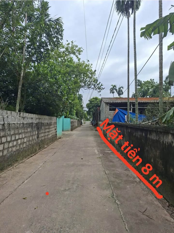 Bán đất 263m2 mặt tiền 8m, trục đường thông xe tải, tiềm năng kinh doanh phòng trọ tại Kim Bảng, Hà Nam