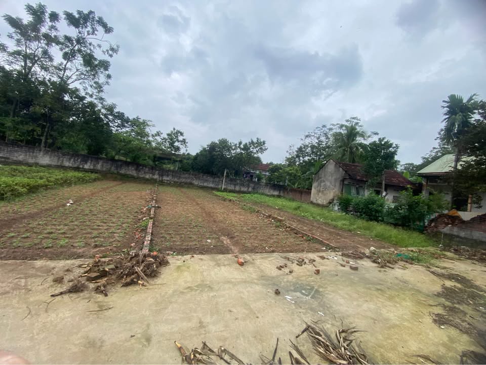 Đất Vĩnh Phúc 80m2 thổ cư, đường ô tô tránh