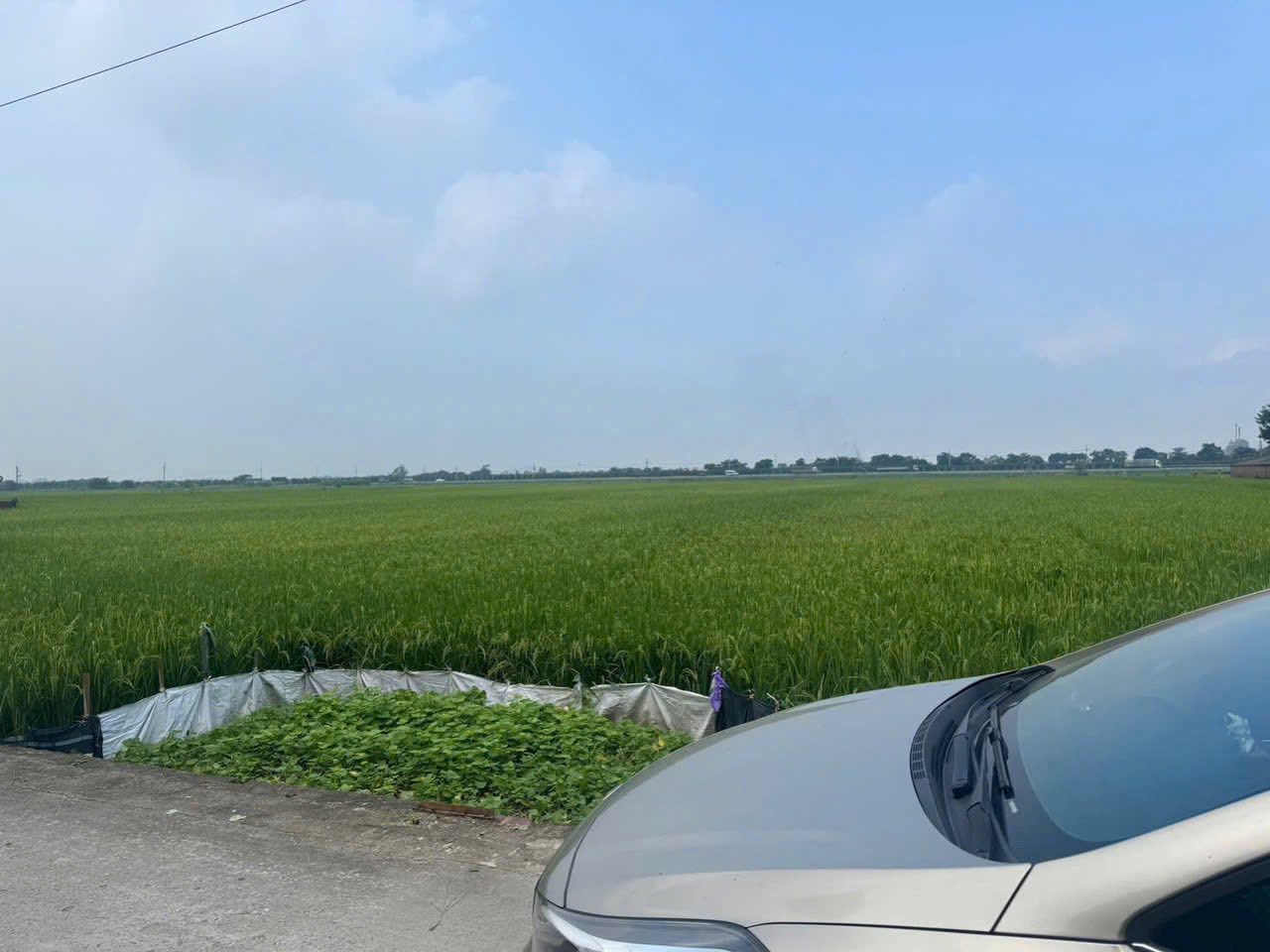 Đất vàng Đông Anh đây rồi, đầu tư là lời, ở thì mát