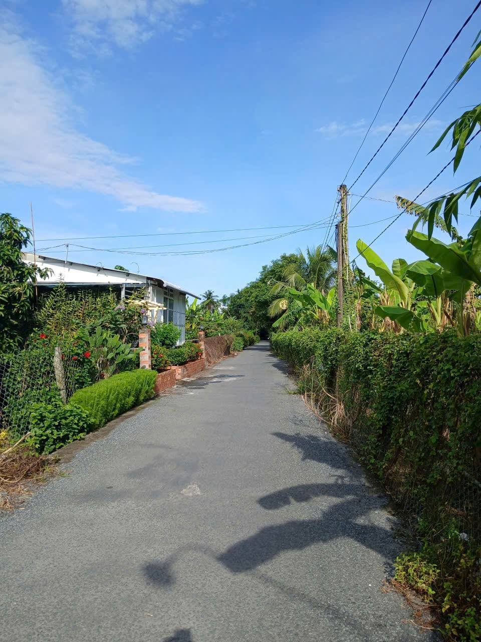 Bán nền lộ đan ngang 700m2, vị trí đắc địa tại Lai Vung, Đồng Tháp