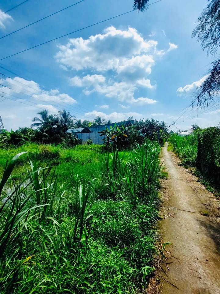 Bán đất 305m² phường Sơn Đông, Vĩnh Long, hướng Tây