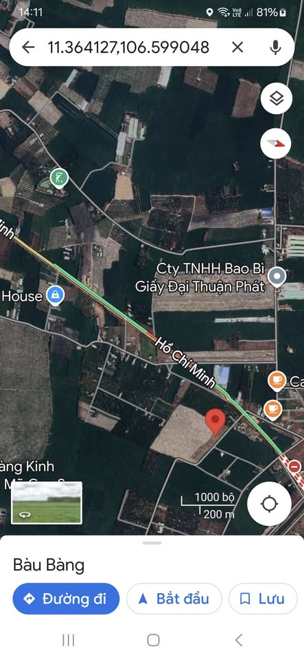 Đất vàng Bàu Bàng 10x56m, đường 9m, giá hời hơn tỷ, xây trọ, kho, nhà thoải mái