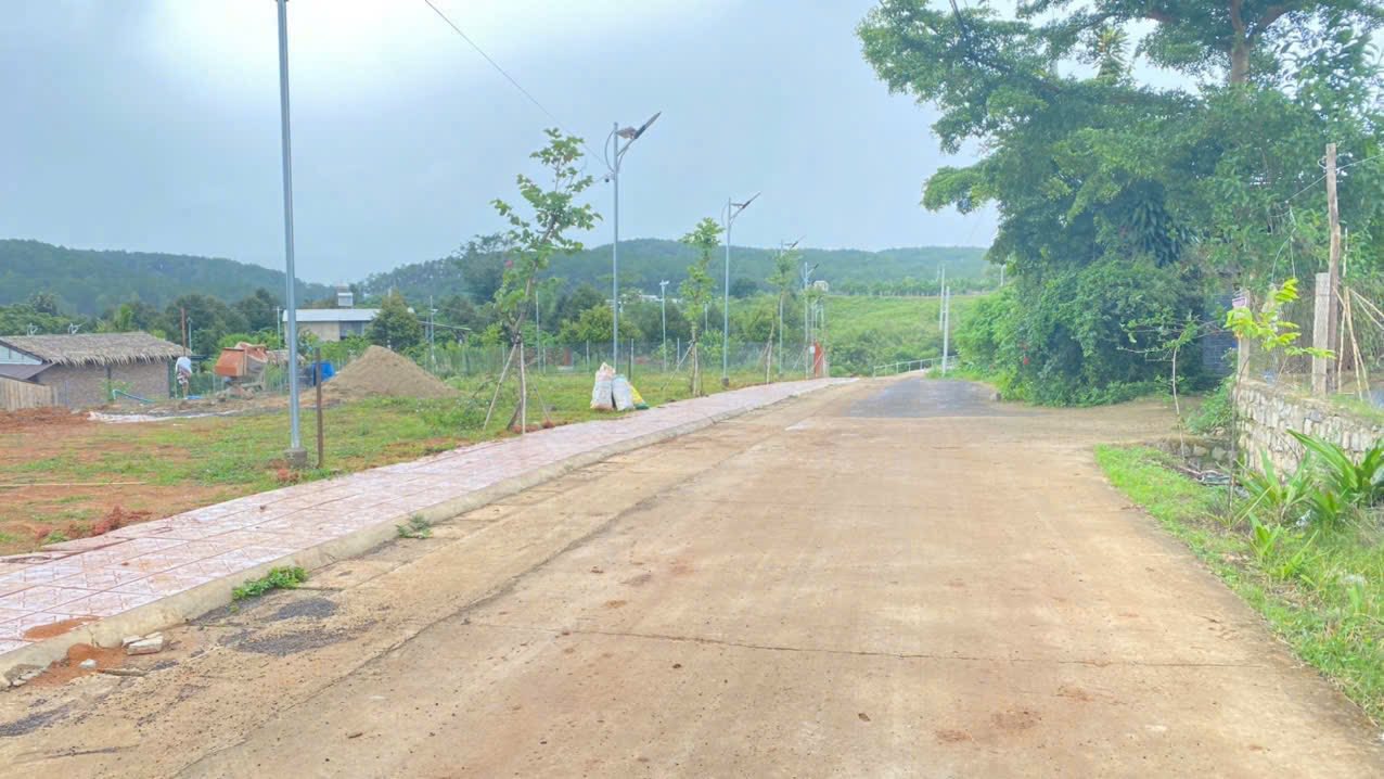 1 hecta đất vàng, giá chỉ 10 tỷ, nơi nghỉ dưỡng lý tưởng