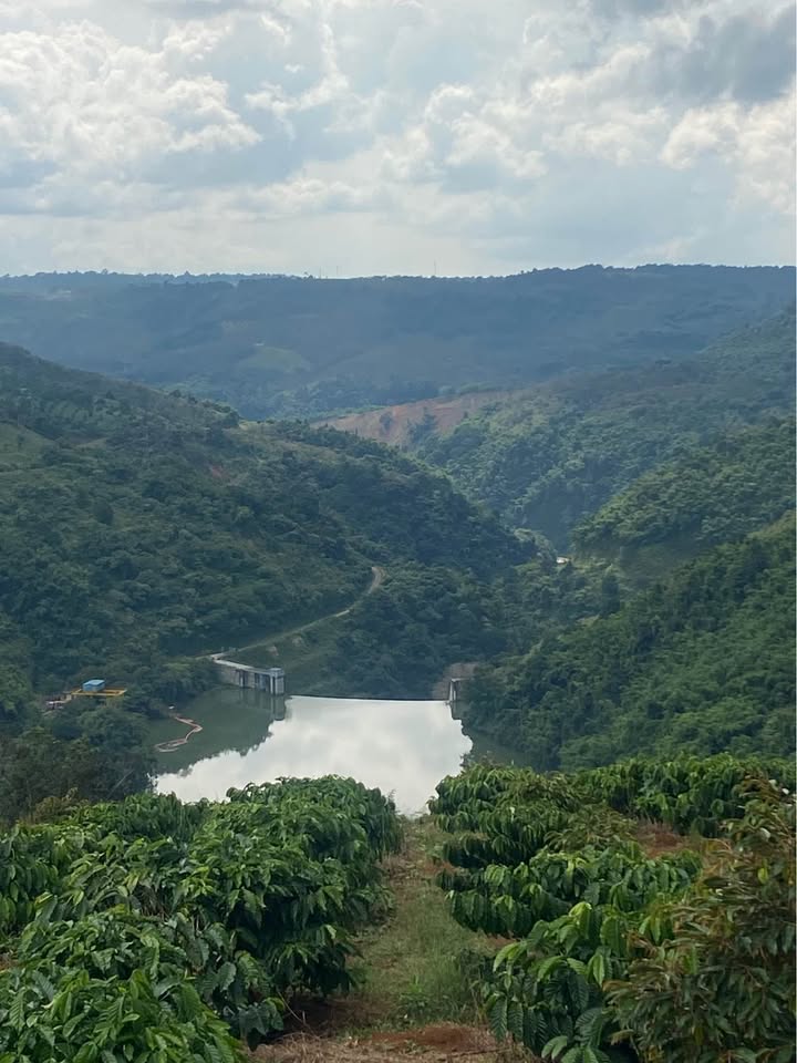 Bán đất nông nghiệp 2,7 ha tại Gia Nghĩa, Đắk Nông thu nhập ổn định