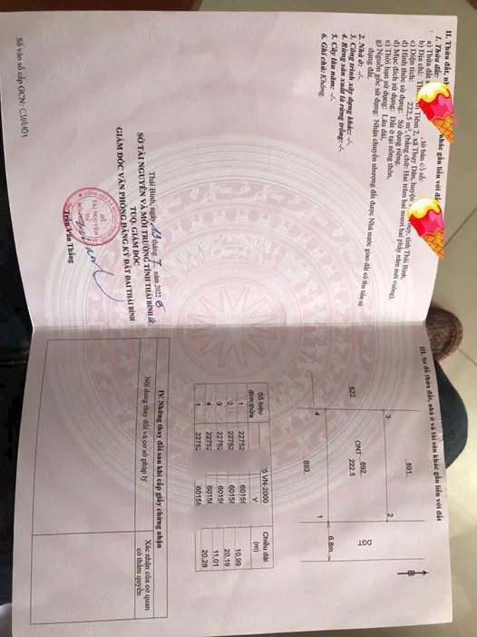 Đất thổ cư rộng hơn 200m2, đường trục thôn ô tô tránh nhau, giá chỉ nhỉnh tỷ