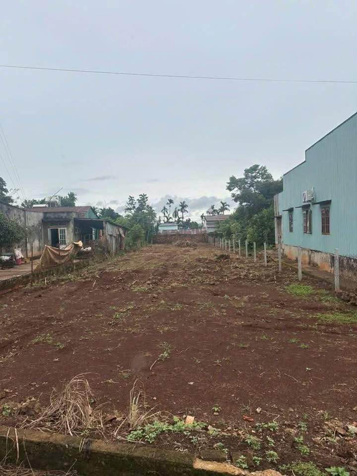 Đất vườn Lý Nam Đế, Đắk Lắk - Diện tích khủng, tiềm năng đầu tư