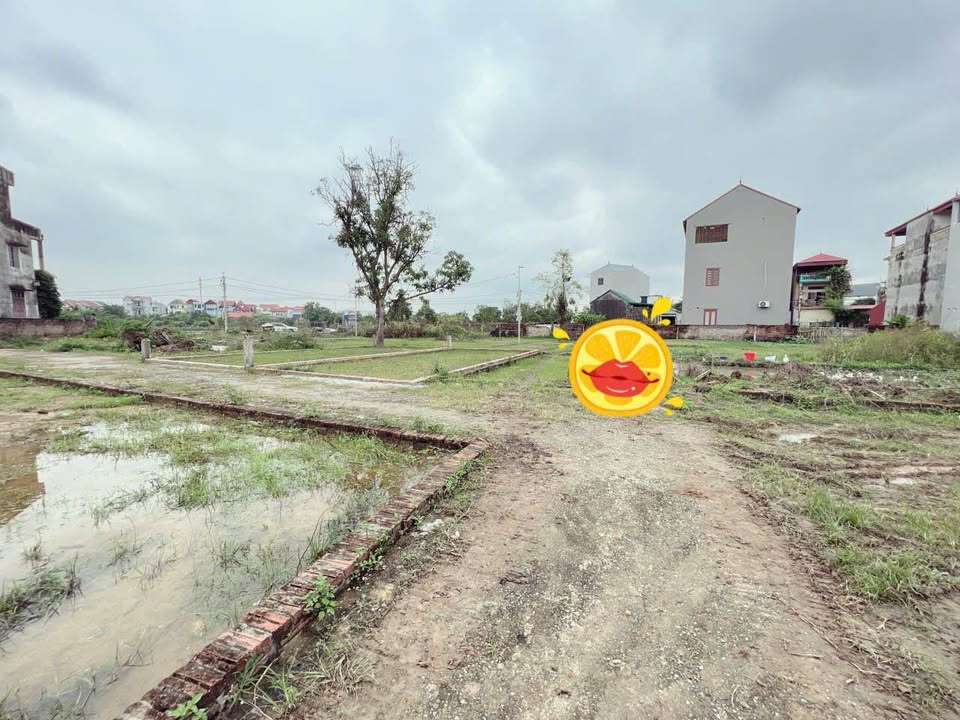 Đất vàng Tổ 9 Quang Minh, Mê Linh 69m2 vuông vắn, giá hời chỉ hơn 1 tỷ