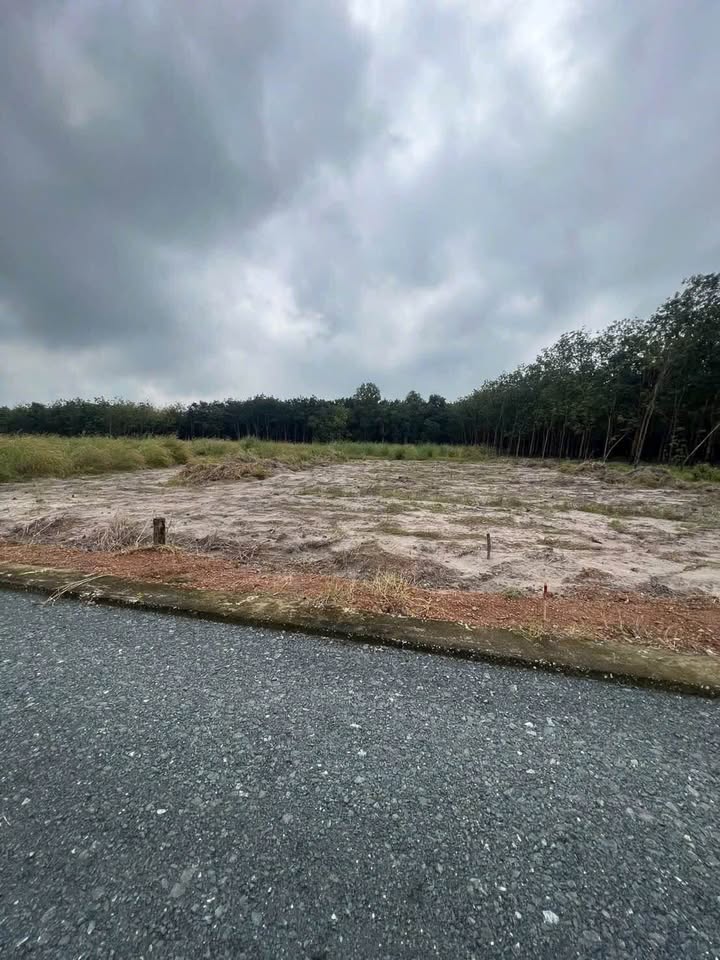 Đất vàng Binh Dương vị trí đắc địa, tiềm năng sinh lời