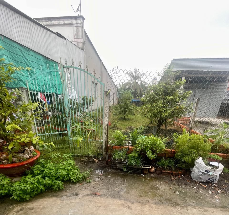 Đất thổ cư Trường Đông, Tây Ninh, cách quốc lộ 22B chỉ 100m