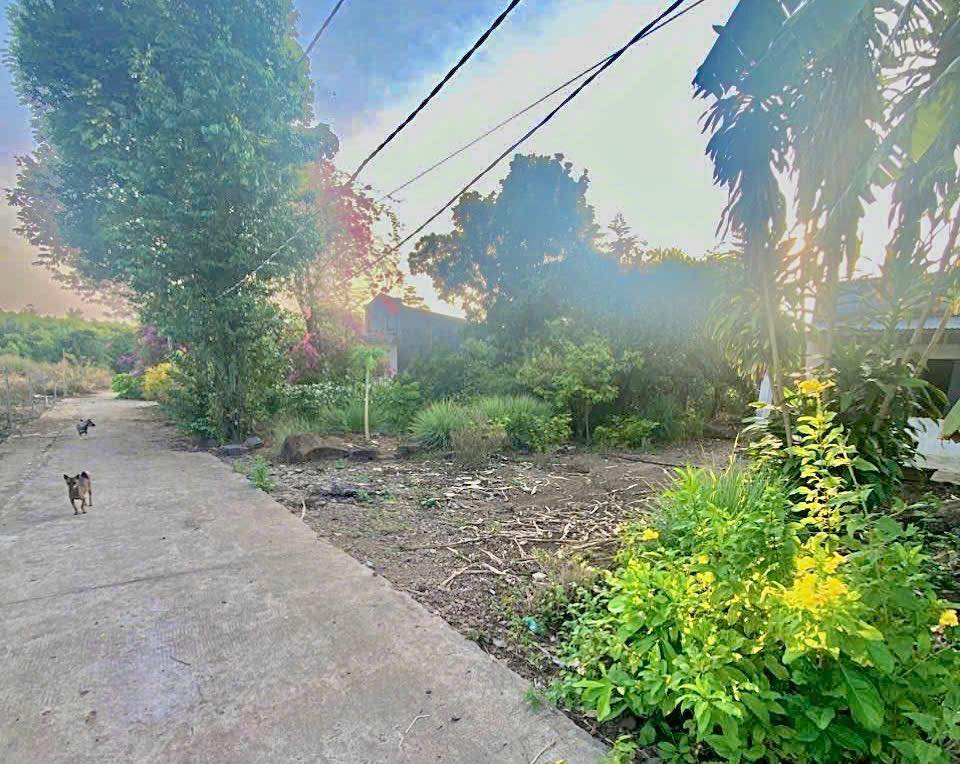 Đất vàng Bảo Vinh lô 5x25m thổ cư, sổ riêng, giá tốt cho nhà đầu tư