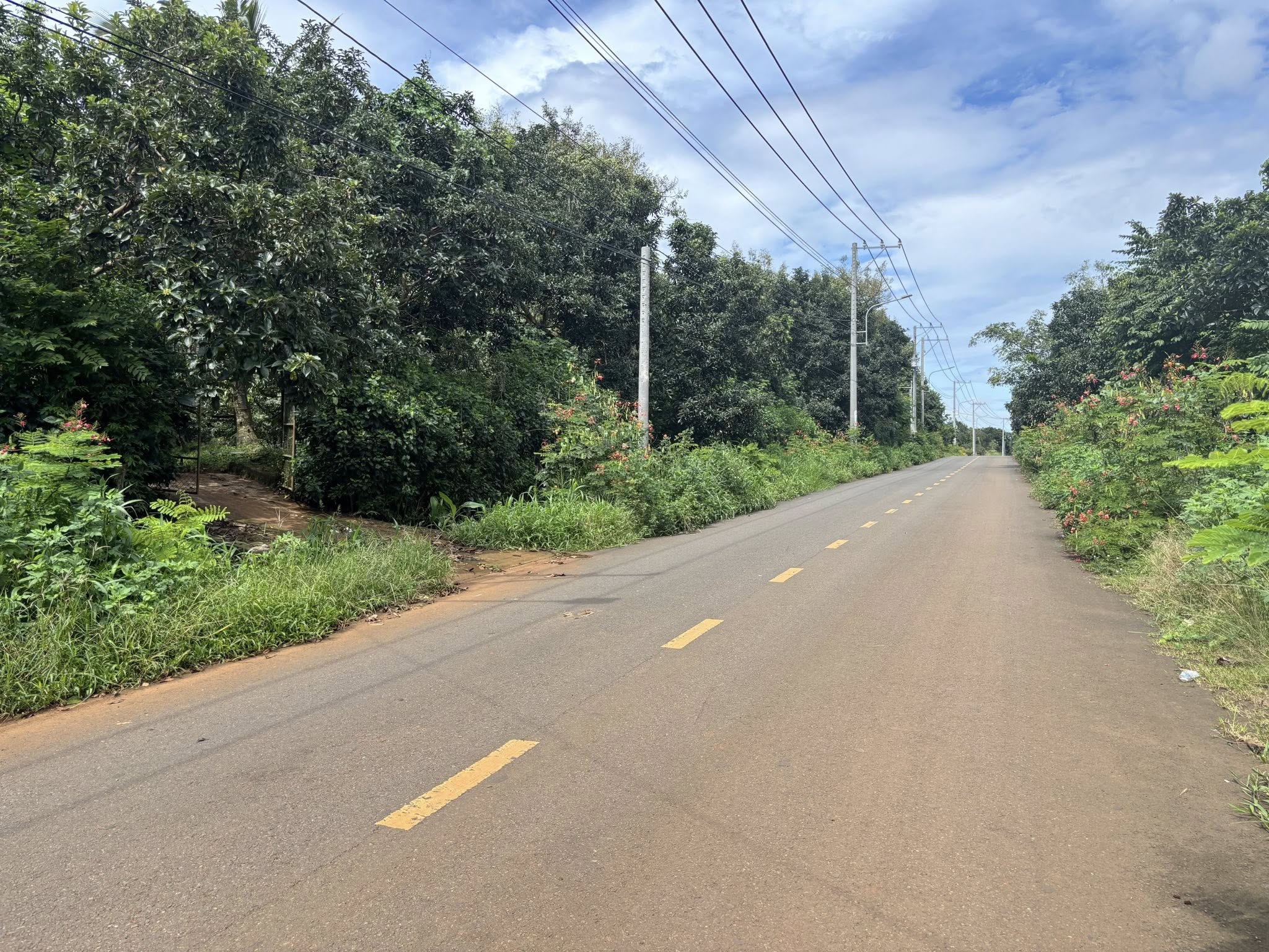 Đất vườn trái cây Cẩm Mỹ 9.4 sào đất mặt tiền nhựa, sổ riêng, giá 15 tỷ