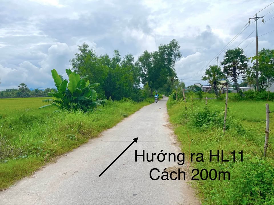 Đất An Giang vị trí vàng sau lưng chợ, ô tô tới tận nơi, giá mềm như bún