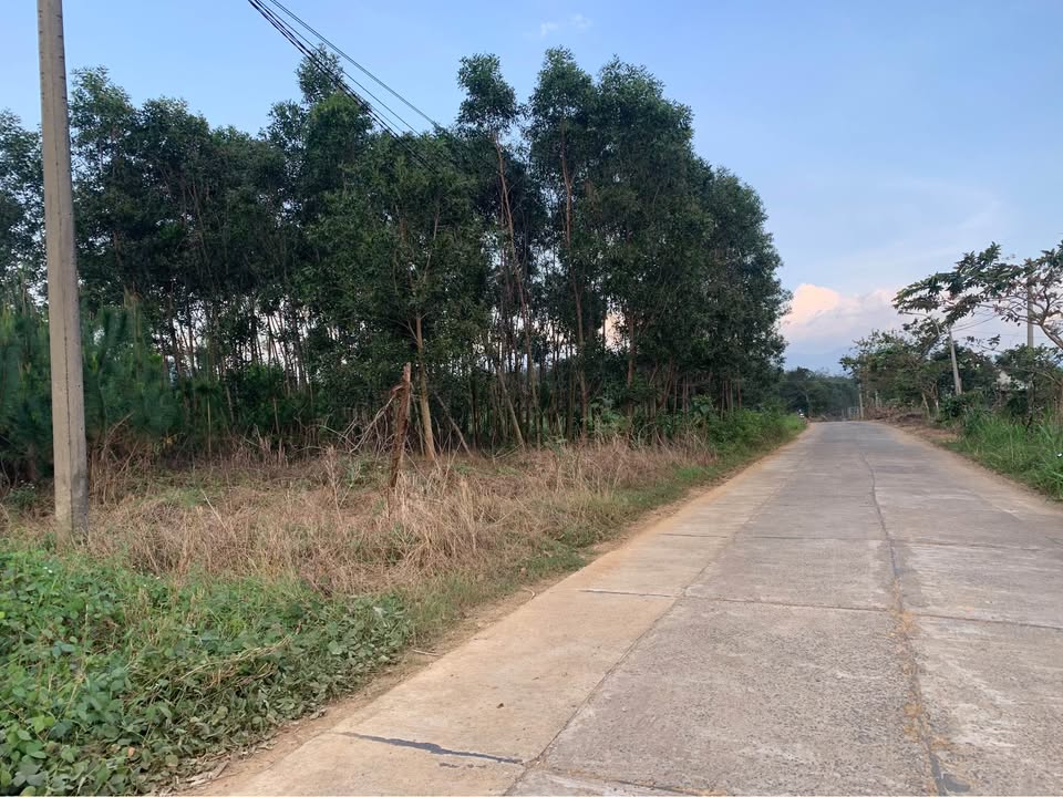 Chủ nhân cần bán gấp lô đất tâm huyết tại xã Sông Hinh, tỉnh Phú Yên