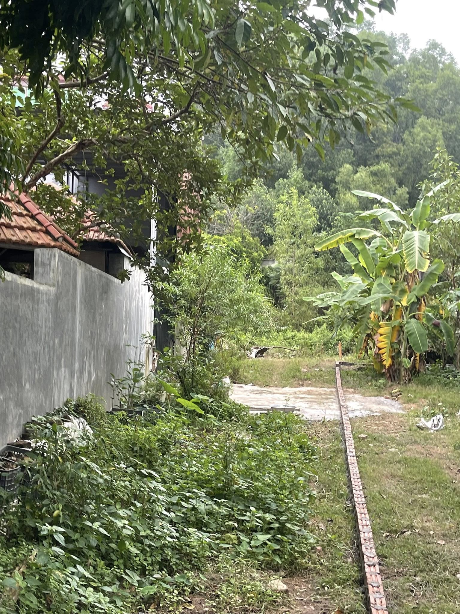 Đất vàng Tiên Du 1000m2 bằng phẳng, mặt đường ô tô, xây biệt thự vườn nghỉ dưỡng