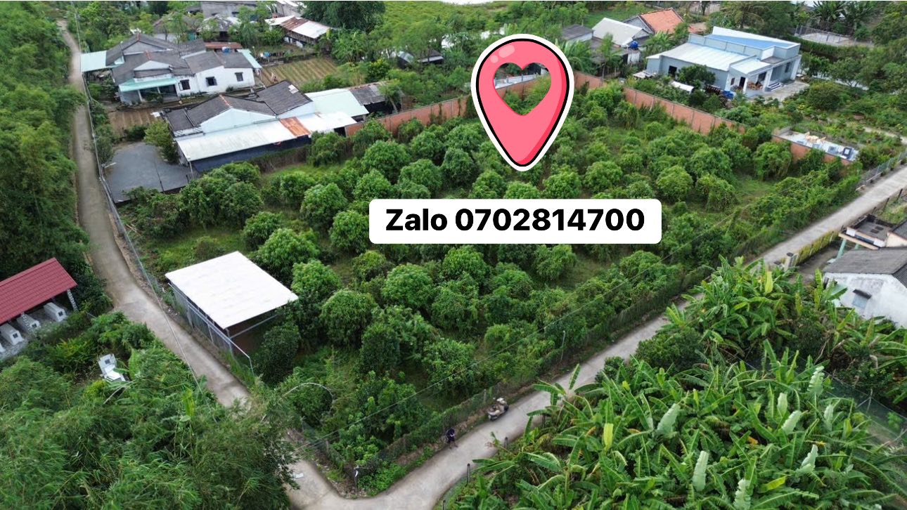 Bán đất vườn cây ăn trái 2600m2 tại Gò Công, Tiền Giang - Thích hợp đầu tư, nghỉ dưỡng