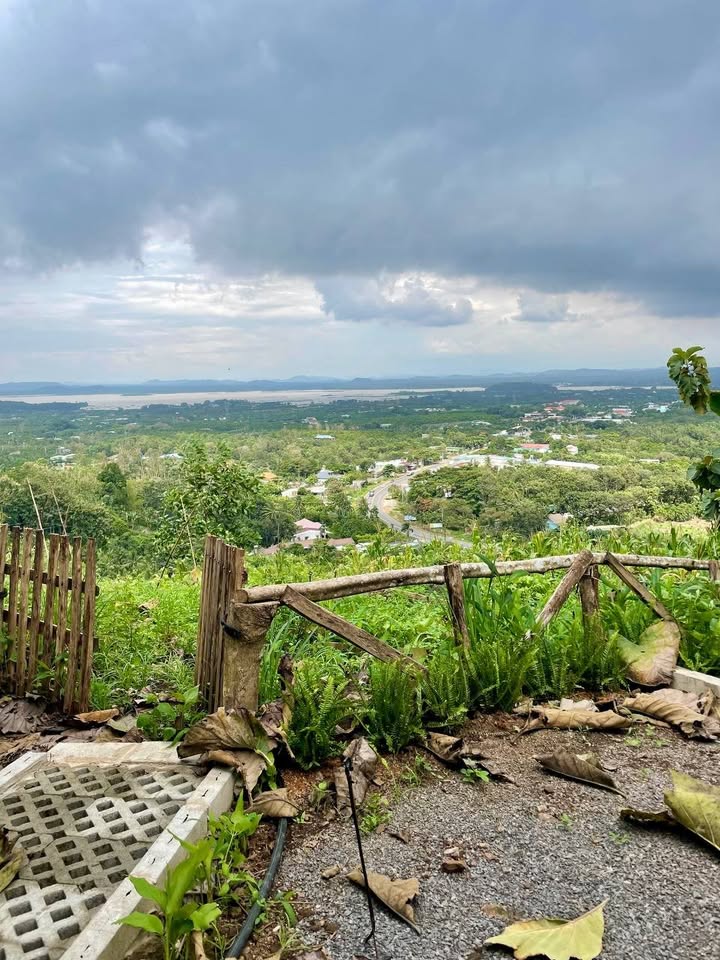 Đất vườn view đồi triệu đô, giáp suối mát rượi, sổ hồng sẵn sàng