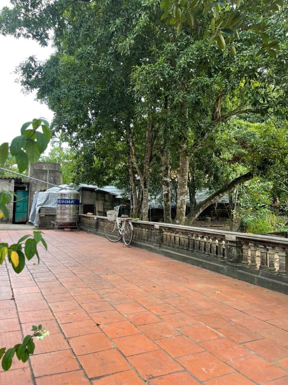 Nhà vườn 1380m2 Lý Nhân, hoáng đãng, ô tô vào tận cửa, giá hợp lý