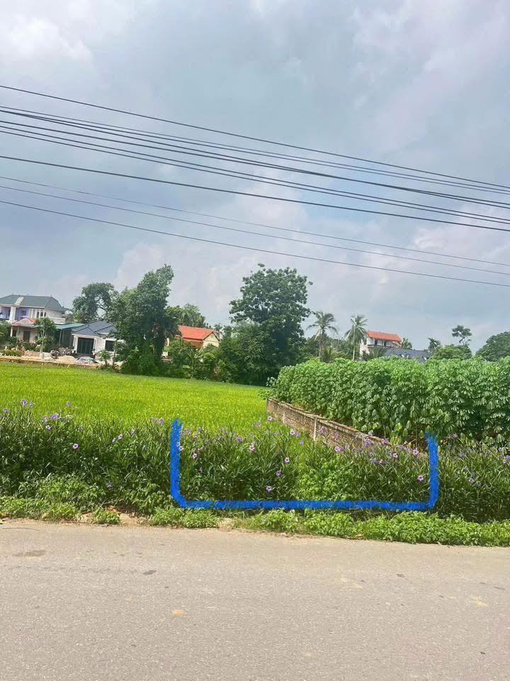 Đất sông Lô, Vĩnh Phúc 140m2 full thổ cư, giá iu thương