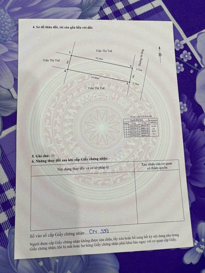 Nhỉnh 8 tỷ, đất vàng Đại Bản - Hải An, ô tô tránh cực chill