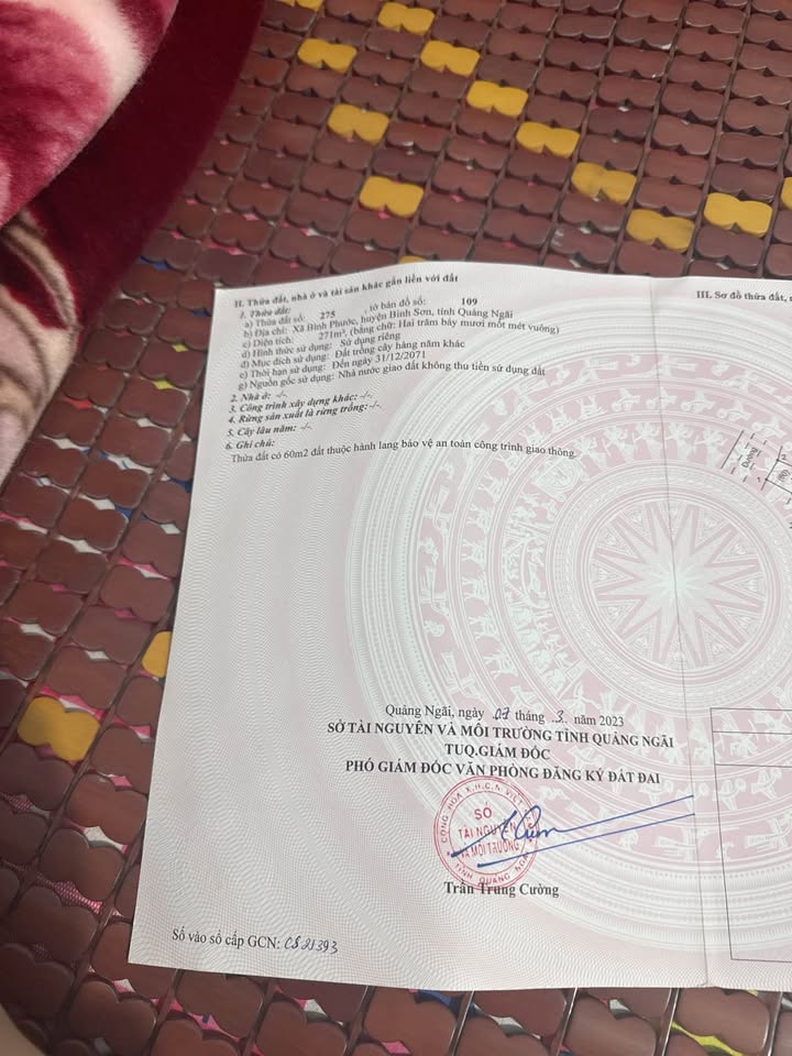 Cơ hội sở hữu lô đất vàng mặt tiền đường tỉnh lộ 624, Bình Phước, Quảng Ngãi