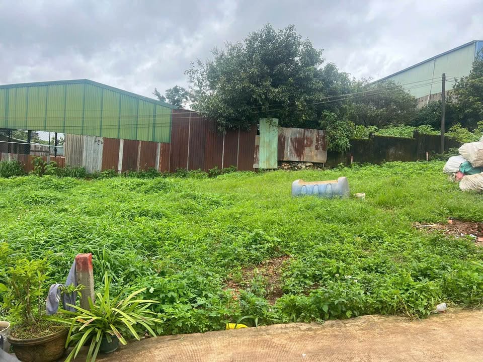 Đất full thổ cư hẻm xe hơi Hoàng Sa, Gia Lai diện tích 100m2