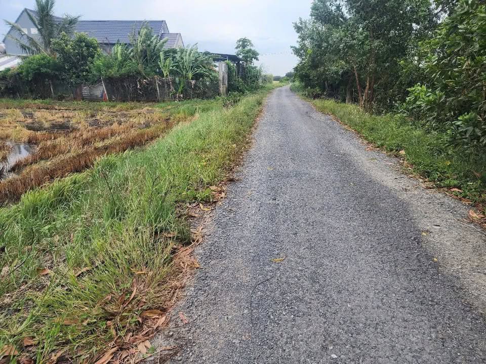 Đất vàng Đức Hòa, Long An 11x96m, đường 8m, giá chỉ 650 triệu