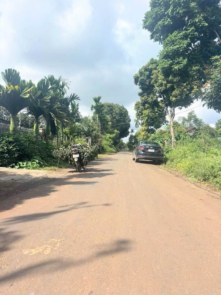 Đất vàng hẻm Mậu Thân 1,65 tỷ, cơ hội đầu tư đón đầu hạ tầng