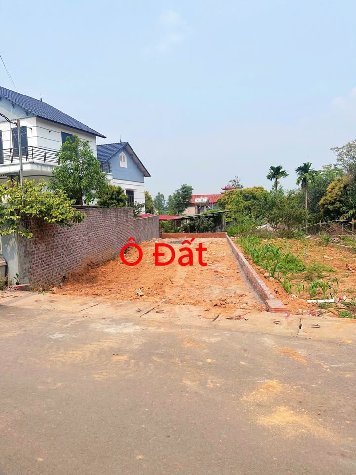 Đất Hương Vị, Bình Xuyên gần trường, khu công nghiệp, giá tốt