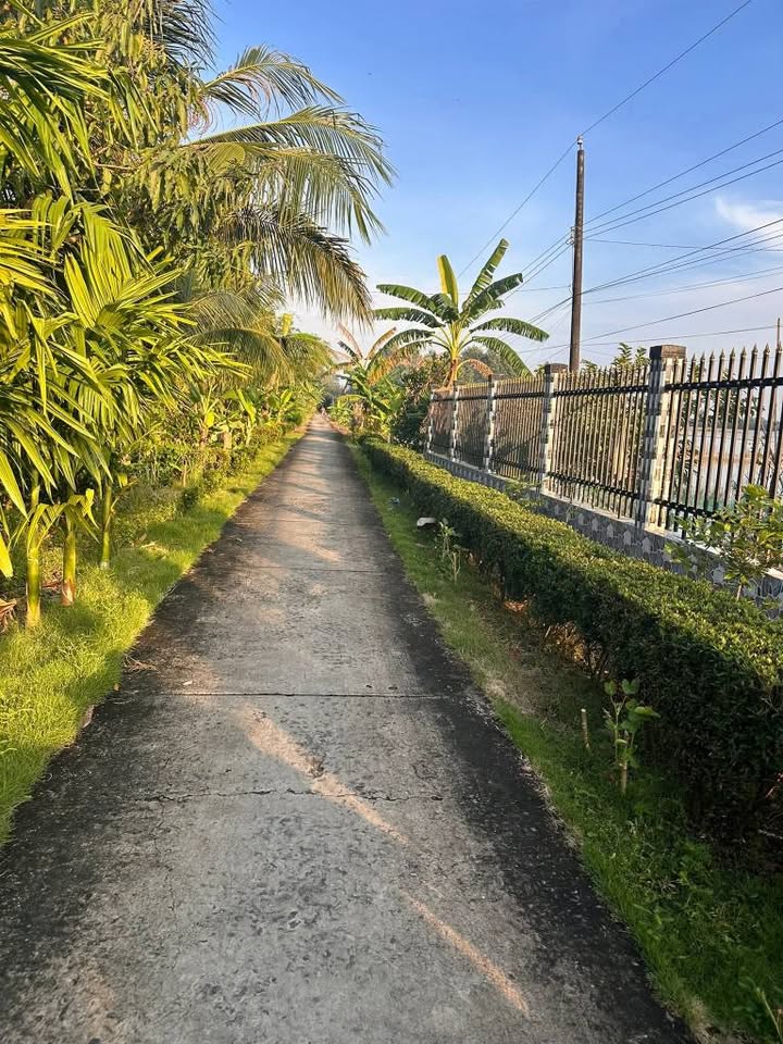 Bán đất mặt tiền diện tích 3600m2 tại Vị Thủy, Hậu Giang